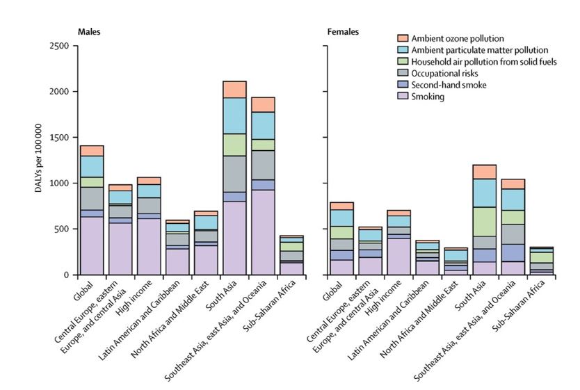 Bar chart in pastel colors showing causes of chronic respiratory disease for males and females