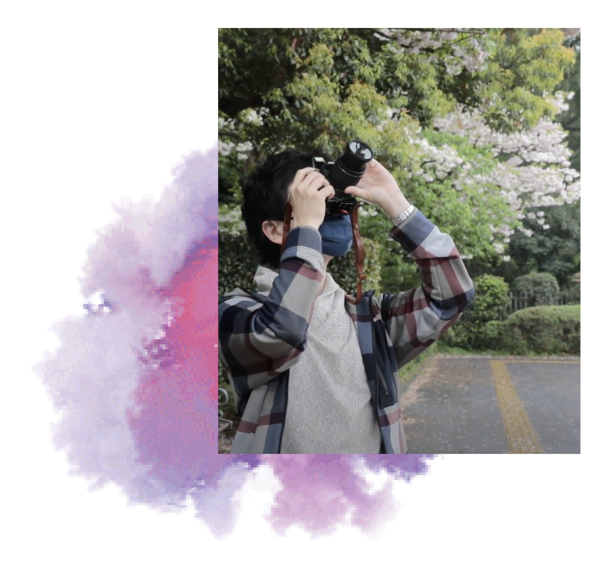 Dr. Nomura holds up a camera to photograph a flowering tree