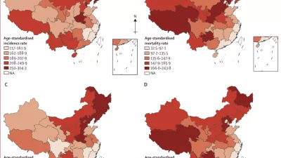 maps of age-standardised incidence, mortality, prevalence, and DALY rates of stroke at provincial levels of China in 2019